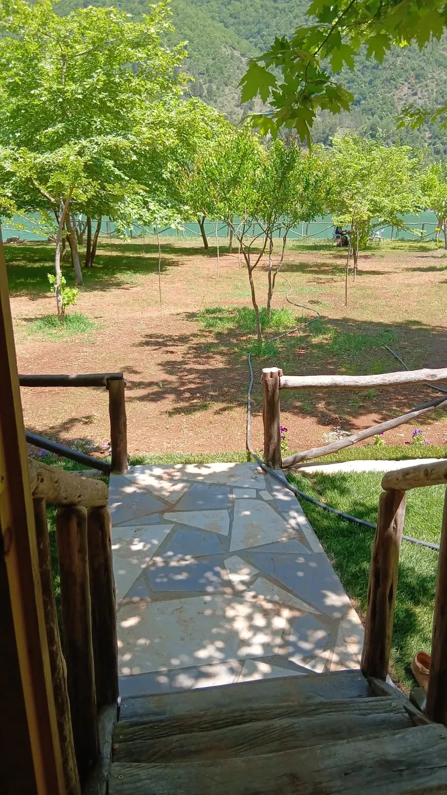 Cabin View 1